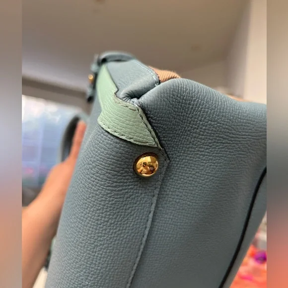 The Banner Burberry Handbags- Detachable crossbody - Picture 4 of 12